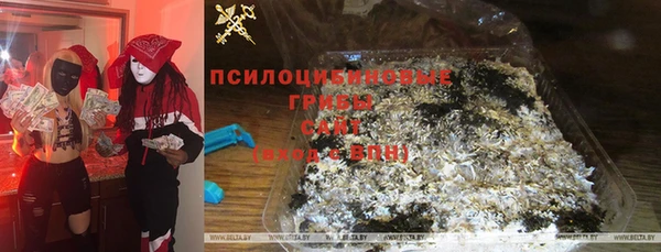 винт Аркадак