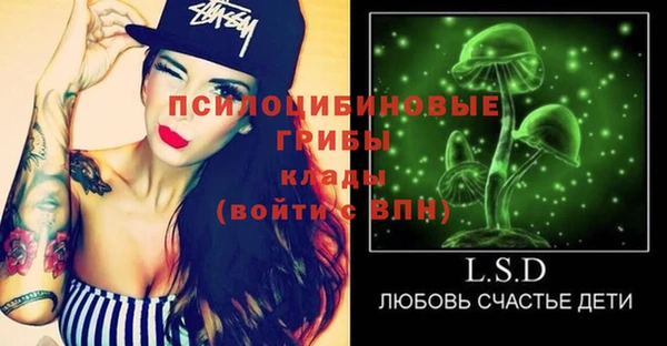 амф Михайловск